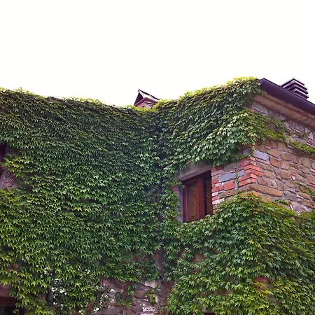Fattoria Di Gratena Arezzo