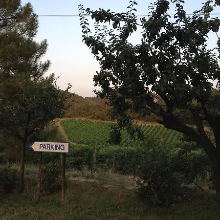 Fattoria Di Gratena * Arezzo