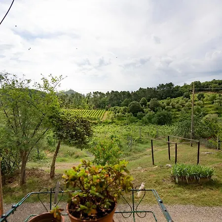 Fattoria Di Gratena Farm stay