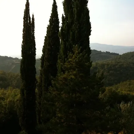 Fattoria Di Gratena Arezzo