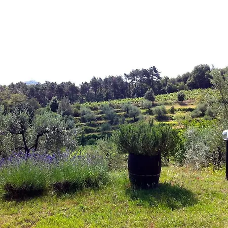 Fattoria Di Gratena Arezzo